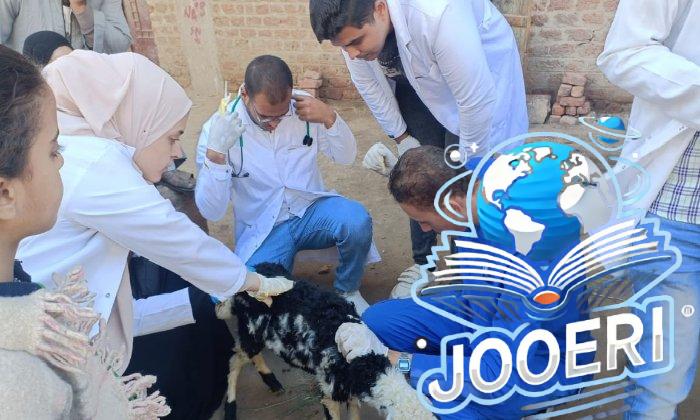 فحص وعلاج 780 حيوان في قوافل بيطرية مجانية لجامعة سوهاج