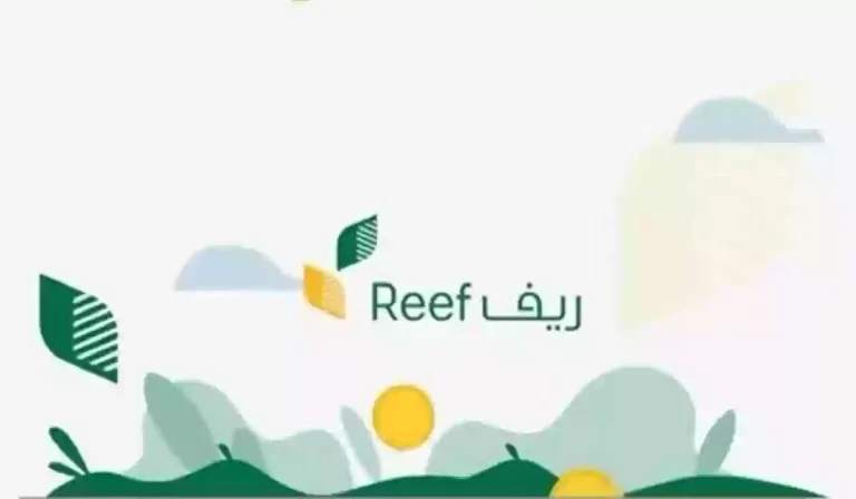 كيف تستفيد من برنامج دعم الريف؟ خطوات الاستعلام وأهم القطاعات المؤهلة