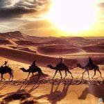 قبيلة الأشراف