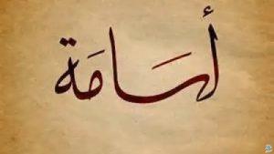 معنى اسم أسامة
