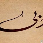 معنى اسم ربى