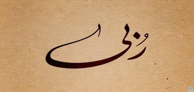 معنى اسم ربى