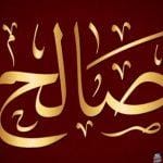 معنى اسم صالح