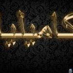 معنى اسم كاميليا 