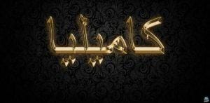 معنى اسم كاميليا 