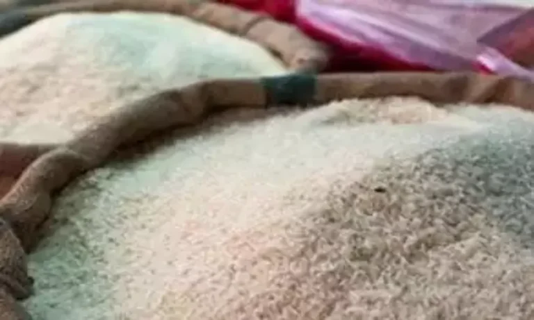 هبوط حاد في أسعار الأرز.. سعر طن الرز الأبيض والشعير اليوم