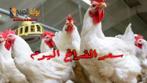 هتشتريها ولا هتستني… سعر الفراخ اليوم الأربعاء 20 نوفمبر بعد التراجع بالبورصة وللمستهلك