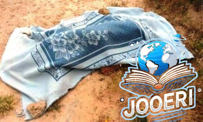 «هزار انتهى بكارثة».. قرار قضائي ضد متهم بقتل شاب وإصابة شقيقه بالجيزة