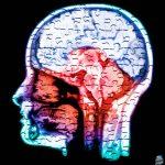 هل يؤثر نقص الكالسيوم والمغنيسيوم على صحة الدماغ؟