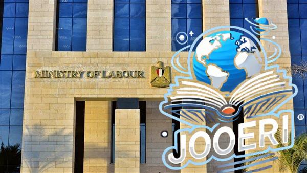 وزارة العمل: ورشة عمل حول ريادة الأعمال لخريجي مراكز التدريب المهني بمحافظة الأقصر