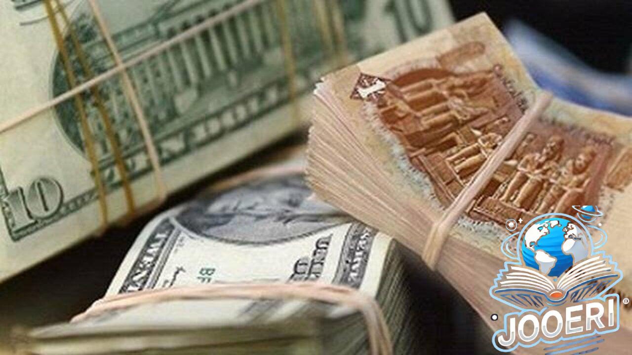يرتفع في هذه البنوك!.. سعر الدولار مقابل الجنيه المصري اليوم الأثنين 18-11-2024 وكم أرتفع اليوم عن أمس 