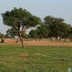 "أتاك الربيع... يختال ضاحكاً".. الطبيعة تنثر عبقها وخضرتها في رياض الأرطاوية وأوديتها