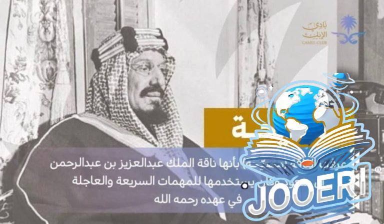 "ابن حثلين" : تسمية بوابة الهجن بـ"بوابة مصيّحة" تيمنًا بناقة مؤسس وموحد هذا الكيان العظيم