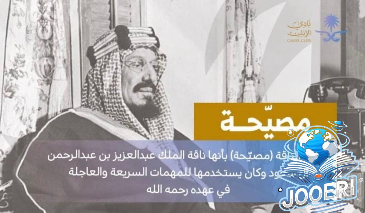 "ابن حثلين" : تسمية بوابة الهجن بـ"بوابة مصيّحة" تيمنًا بناقة مؤسس وموحد هذا الكيان العظيم