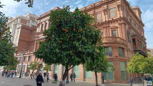 أخبار الأعمال - إشبيلية تكافح ضد تغير المناخ