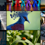 إليك كيف تبدو واجهة Sora الجديدة من OpenAI