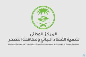 التمريات بالجوف أكبر محطة مستدامة في العالم بشهادة غينيس.. تعرفوا على أهدافها