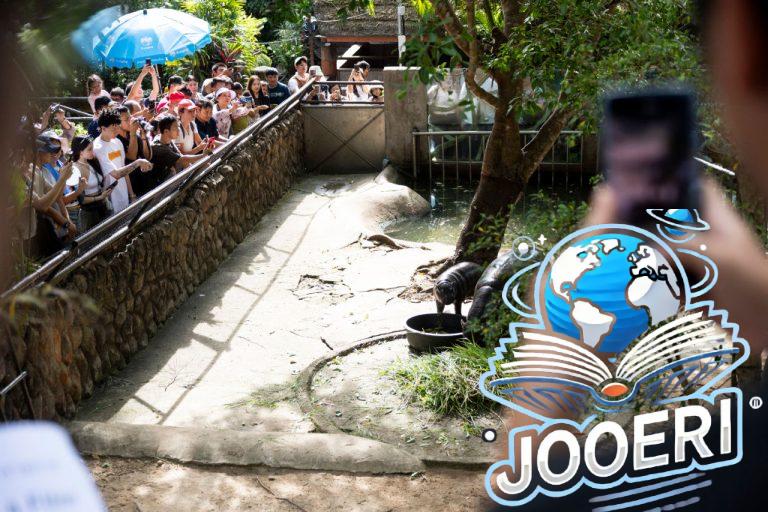 اللحظات عبر الإنترنت التي حددت عام 2025