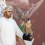 المحترفون الدوليون يتنافسون على 12 كأسًا في اليوم الـ 12 لمهرجان الملك عبدالعزيز للصقور 2024..تعرفوا على النتائج