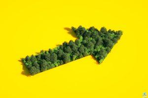 Forest in the shape of arrow sign on a yellow background.