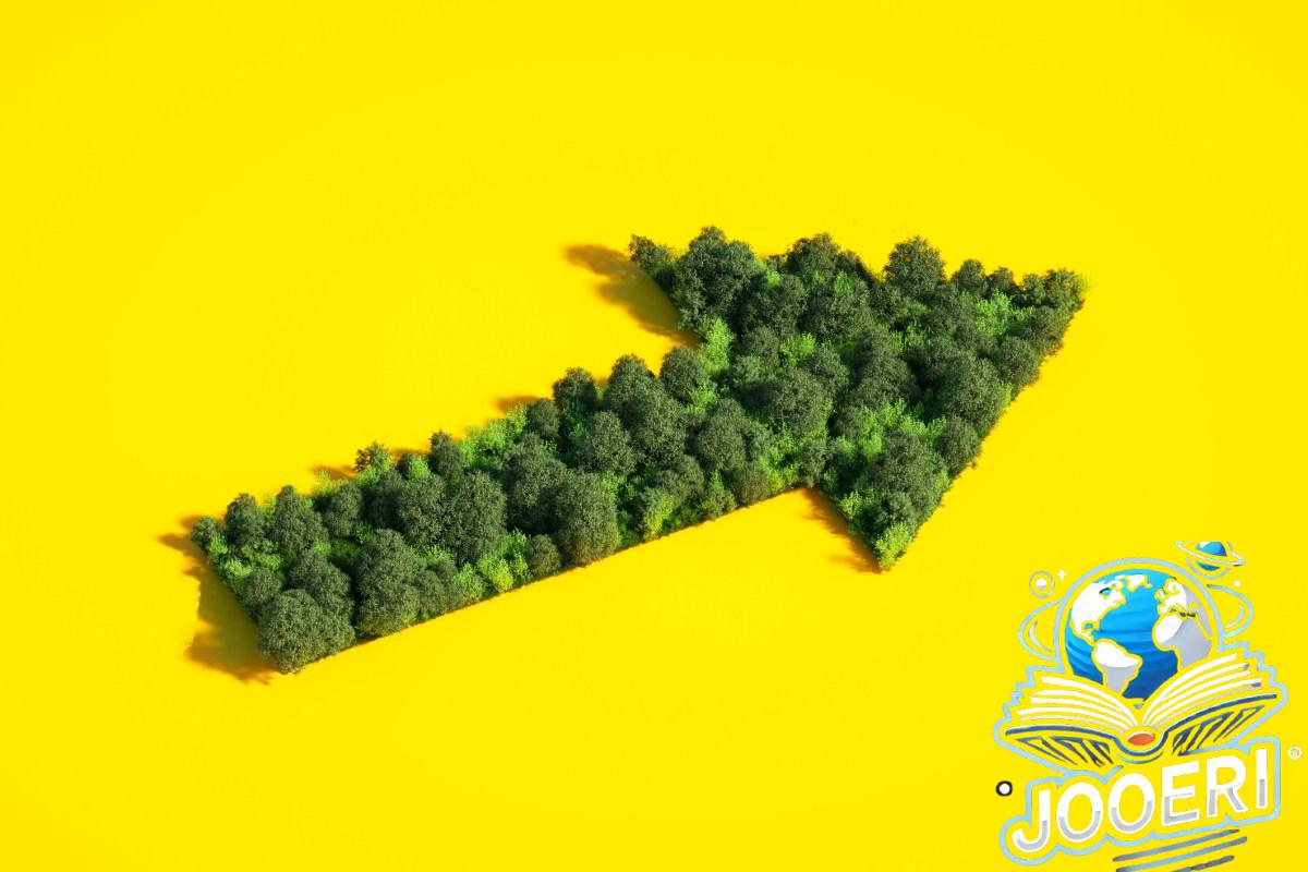 Forest in the shape of arrow sign on a yellow background.