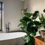 خطوات بسيطة لتنظيف الحمام باستخدام مكوّنات طبيعيّة