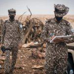 ضبط مواطن مخالف لنظام البيئة لإشعاله النار في أراضي الغطاء النباتي بمحمية طويق