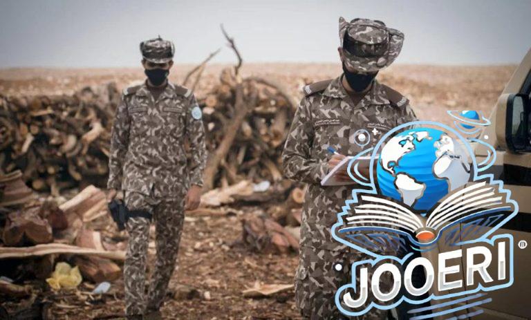 ضبط مواطن مخالف لنظام البيئة لإشعاله النار في أراضي الغطاء النباتي بمحمية طويق