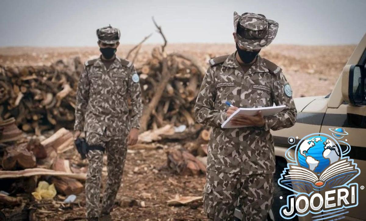ضبط مواطن مخالف لنظام البيئة لإشعاله النار في أراضي الغطاء النباتي بمحمية طويق
