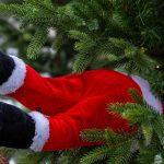 عادة عيد الميلاد - شجرة عيد الميلاد على السقف - هذا ما يكمن خلفها