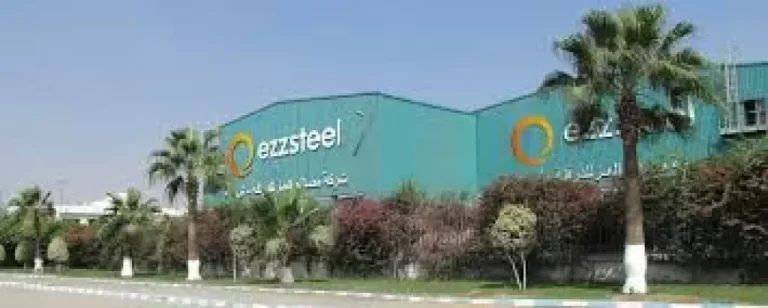 عمومية حديد عز تناقش الشطب من البورصة يناير المقبل | اقتصاد