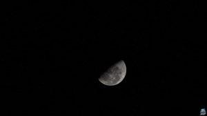 فرصة للتصوير.. "فلكية جدة": القمر في طور التربيع الأول "يشرق بعد الظهر"!