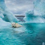 لا مزيد من تخزين ثاني أكسيد الكربون - اكتشف باحثون أمريكيون "تغيرًا جذريًا" في منطقة التندرا في القطب الشمالي