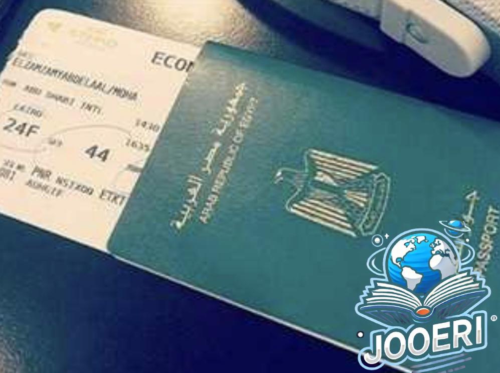 مصر تتيح فتح الحسابات المصرفية للمصريين بالخارج من خلال السفارات والقنصليات