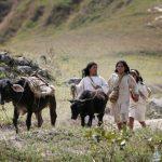 من جميع أنحاء العالم - الرد: تعيد ألمانيا أشياء كوجي إلى كولومبيا