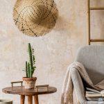 نبات الصبار يقدم إلى غرف منزلك لمسة خضراء جمالية  