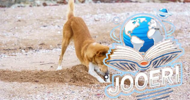 10 حيوانات قامت باكتشافات أثرية