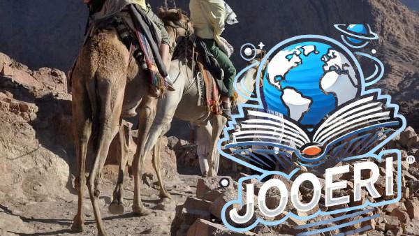 أخبار جنوب سيناء| رفع أجر الدليل البدوي بسانت كاترين.. وحبس تاجر مخدرات أبلغت عنه زوجته بشرم الشيخ