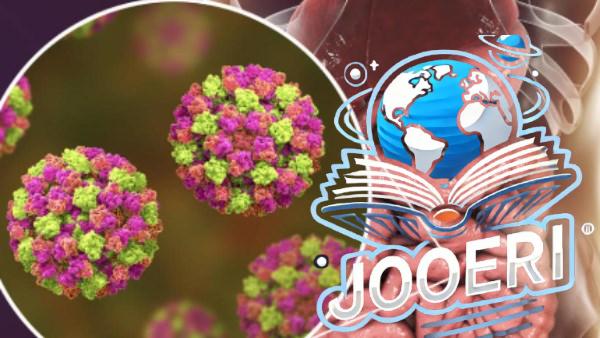 إنفلونزا المعدة الأسباب والأعراض .. معلومات صادمة لا تعرفها عن المرض