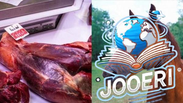 بعد سقوط جزار بني سويف.. ما يحدث للجسم إذا تناولت لحم الحصان وكيف تفرقه عن اللحم البقري؟