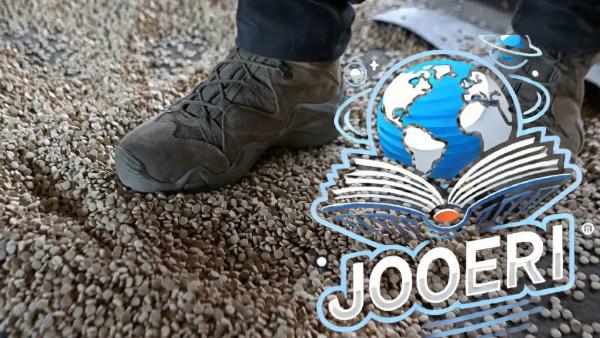 سوريا تتلف 100 مليون حبة كبتاجون وغيرها من المخدرات الأخرى