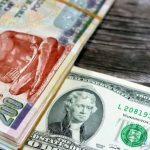 كم سعر 100 دولار في البنك؟.. تراجع جديد في سعر الأخضر رسميًا اليوم الجمعة