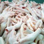 كنز غذائي وتجميلى.. فوائد أرجل الدجاج