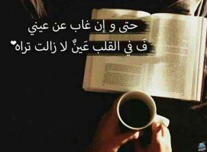 كلام يكتب على الصور الشخصية للفيس بوك 2025: أفكار إبداعية تعبر عن شخصيتك