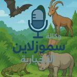 موسوعة حيوانات بحرف الواو: أسماء وصفات مذهلة تعرف عليها الآن